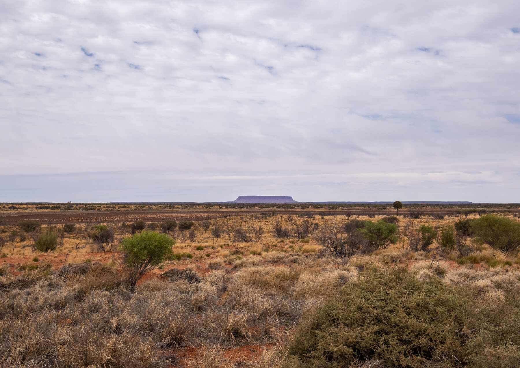   First view of Uluru. 