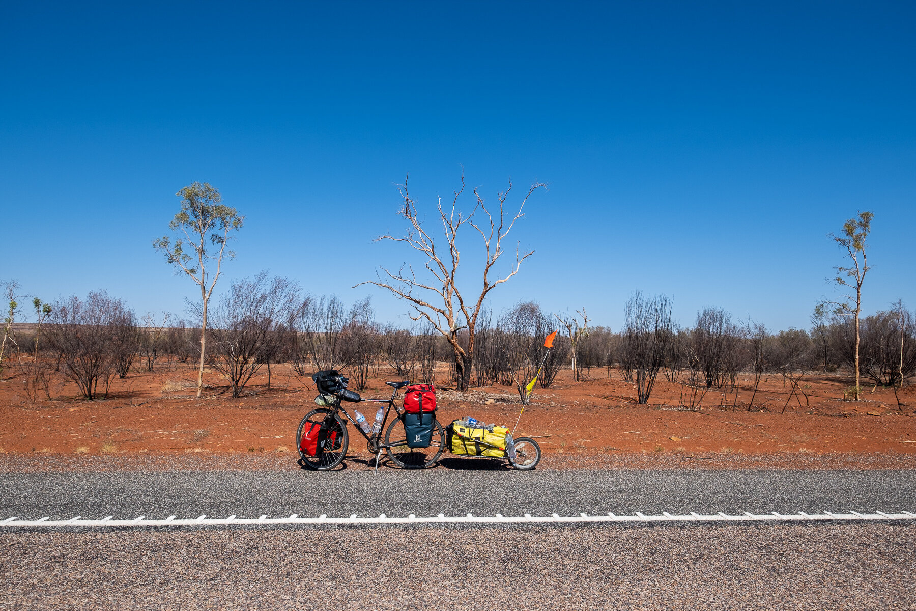   Aftermath of bushfire. 