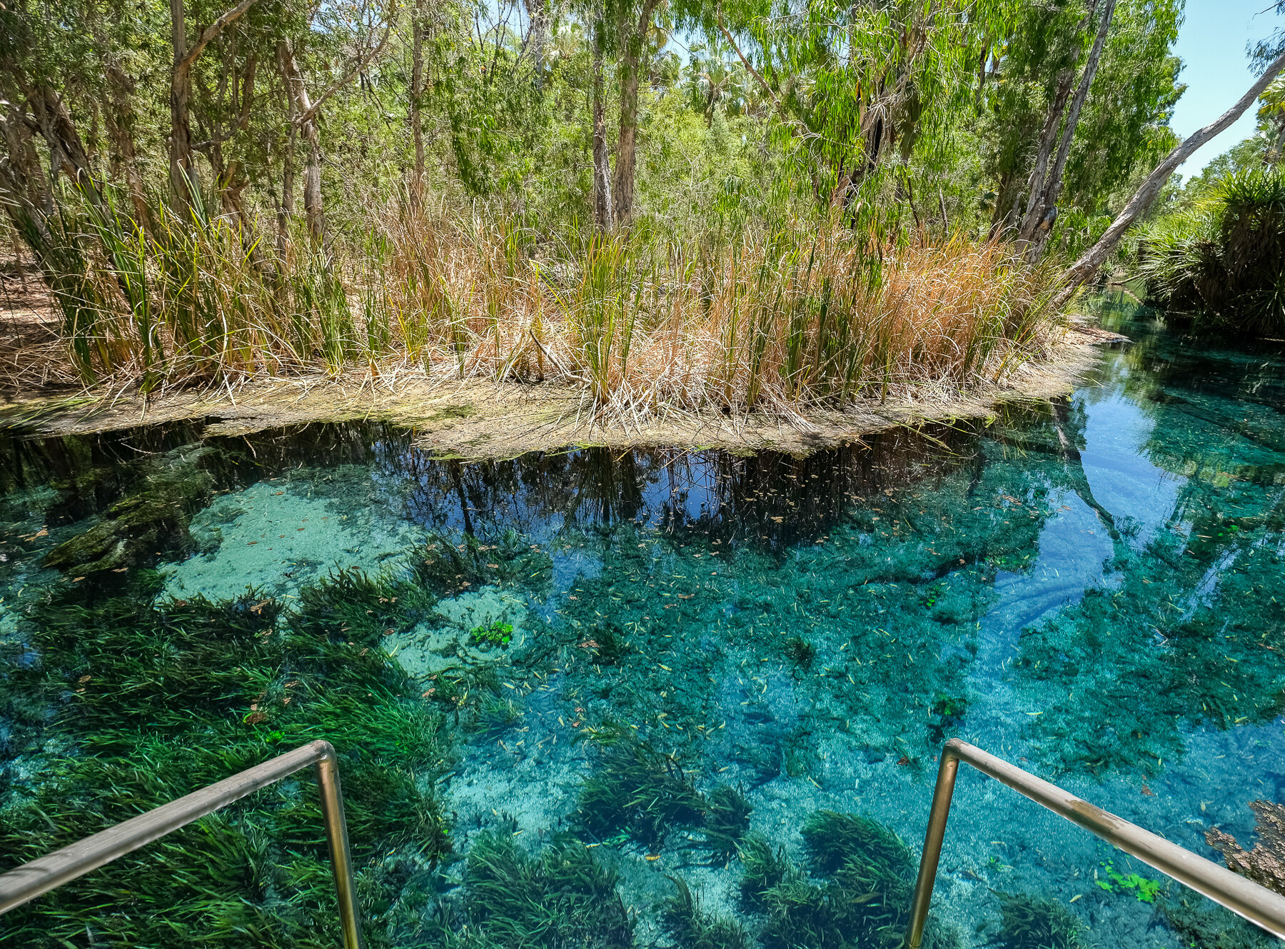   Mataranka Thermal Pool: This is a designated area for swimming. 