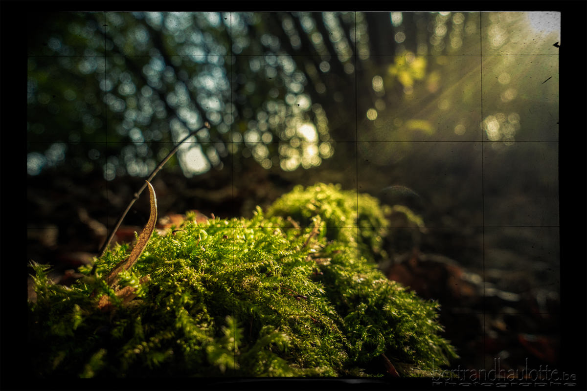 _DSC1048-Modifier-Modifier.jpg
