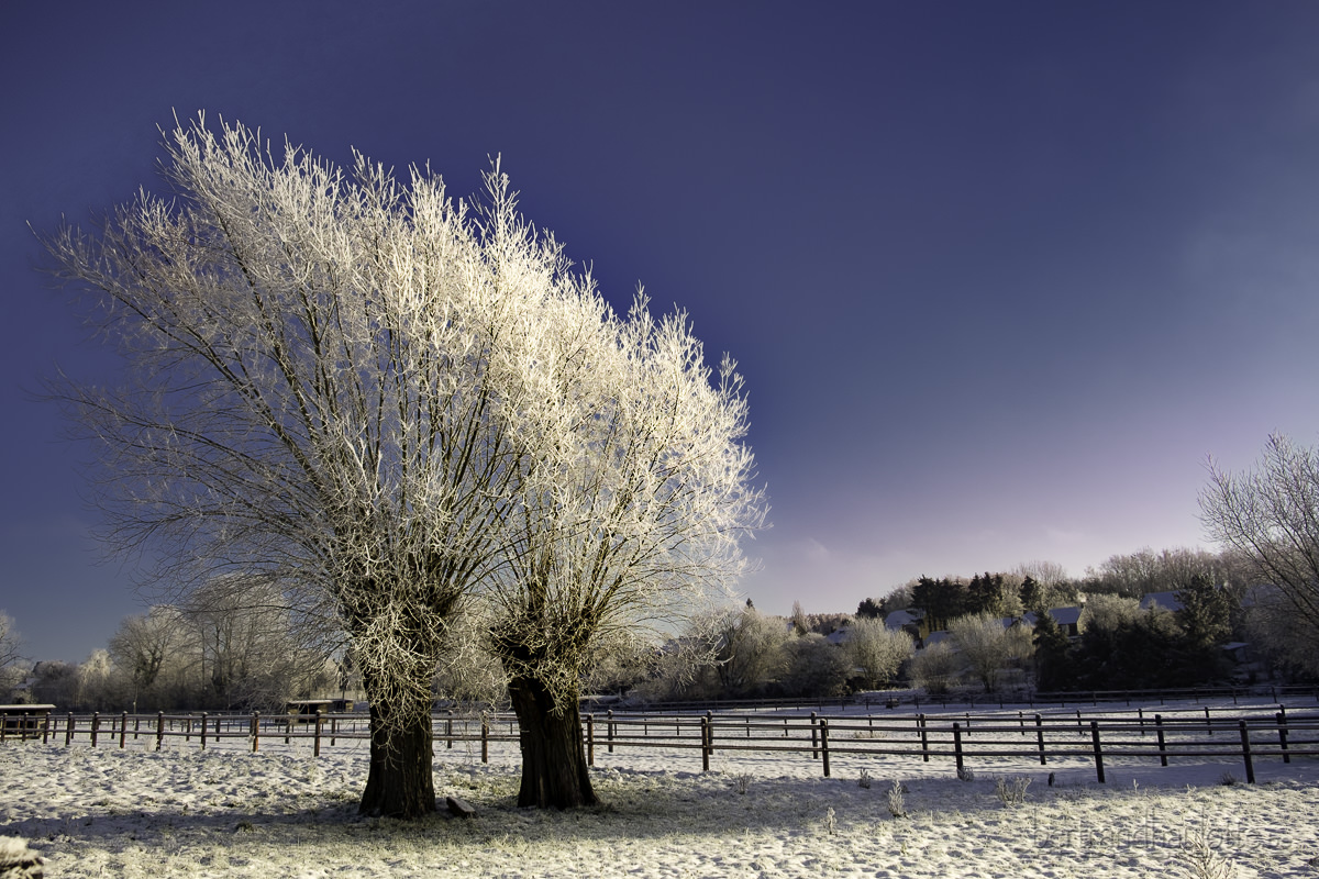 Cold