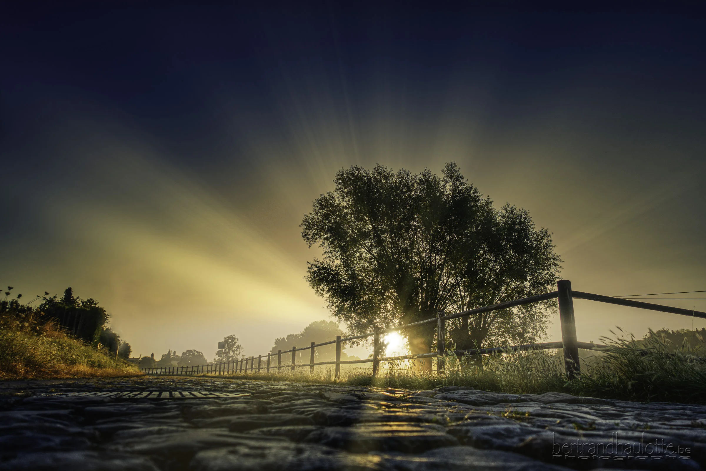 Rising Sun