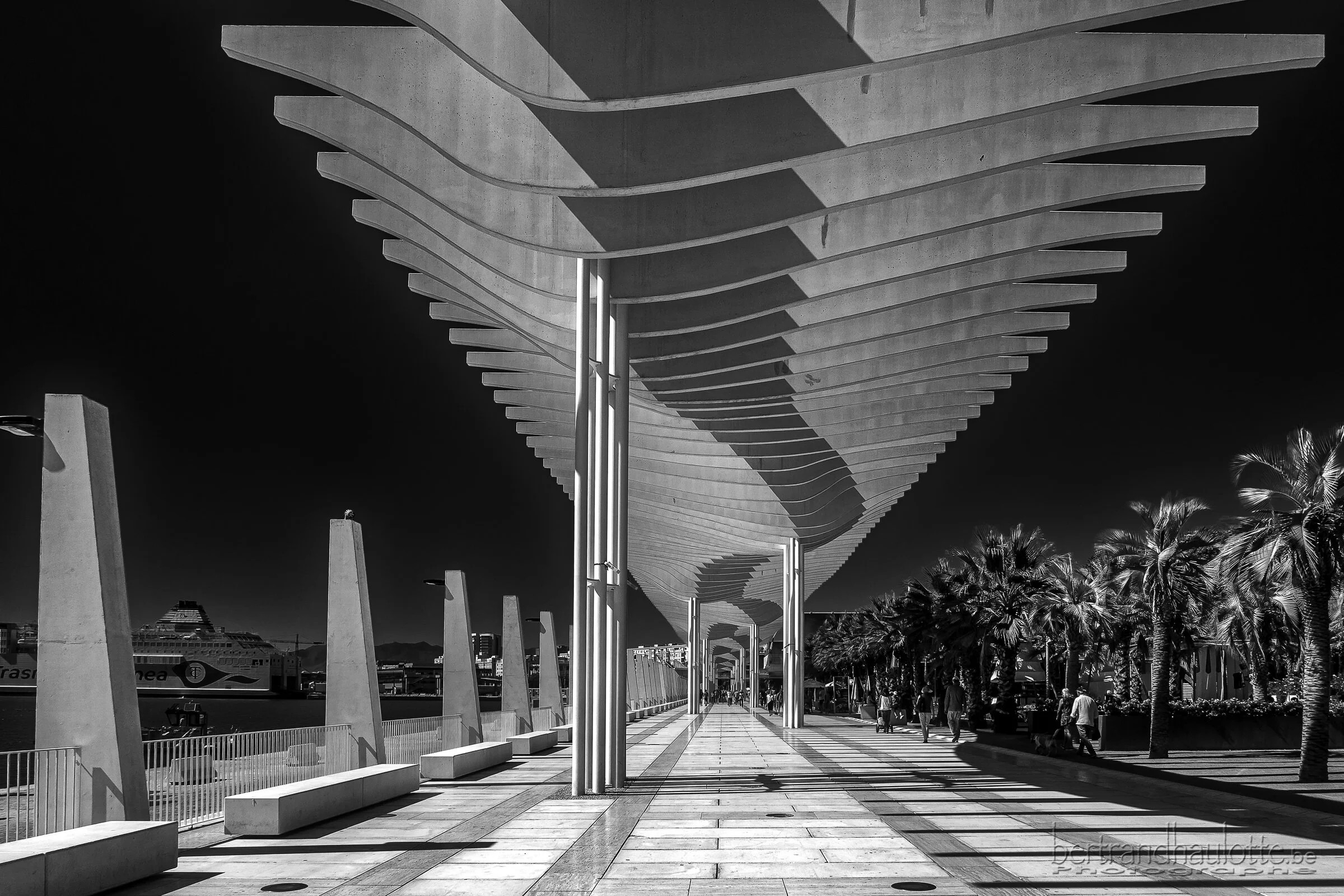 palmeral de las sorpresas