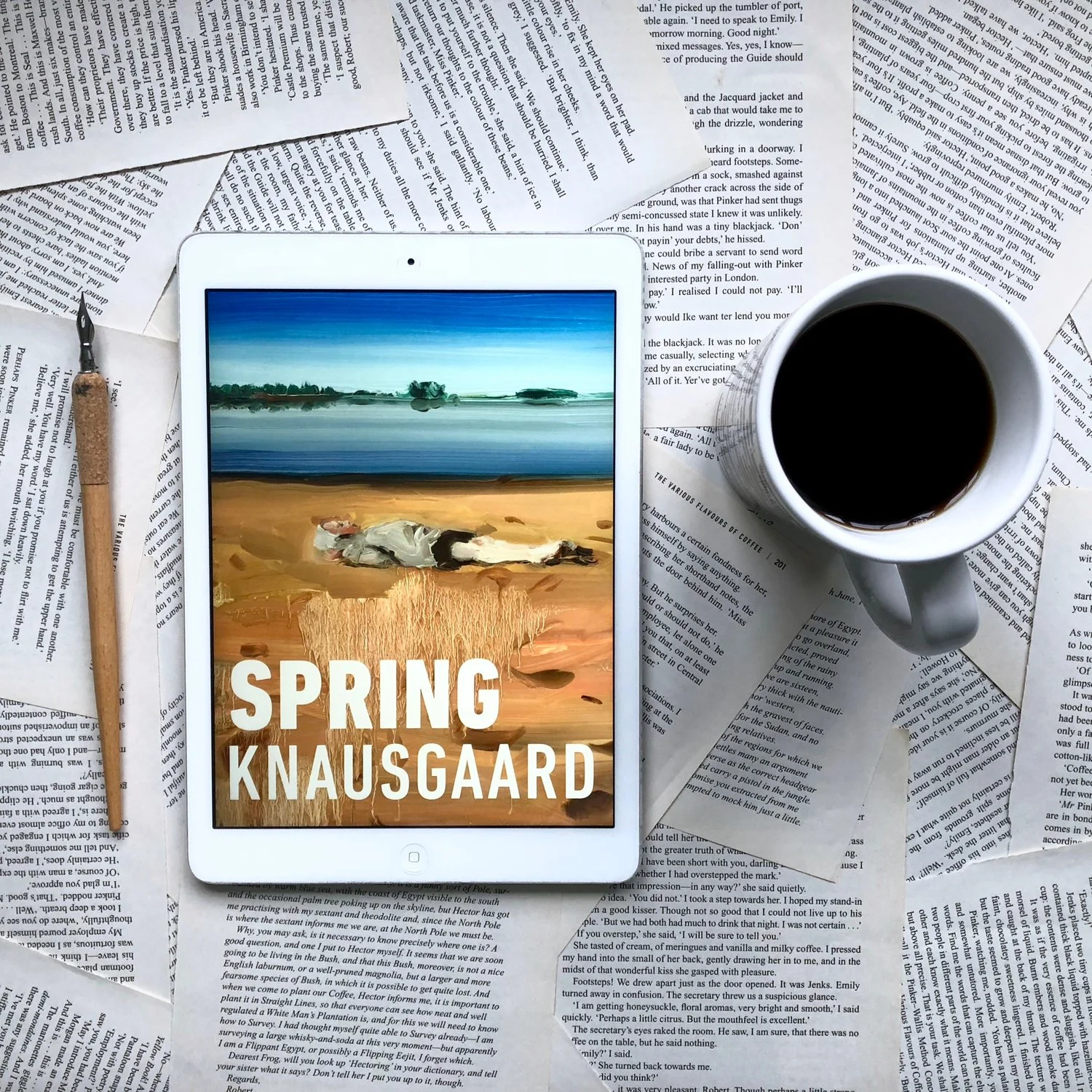 Knausgaard SPring.jpg