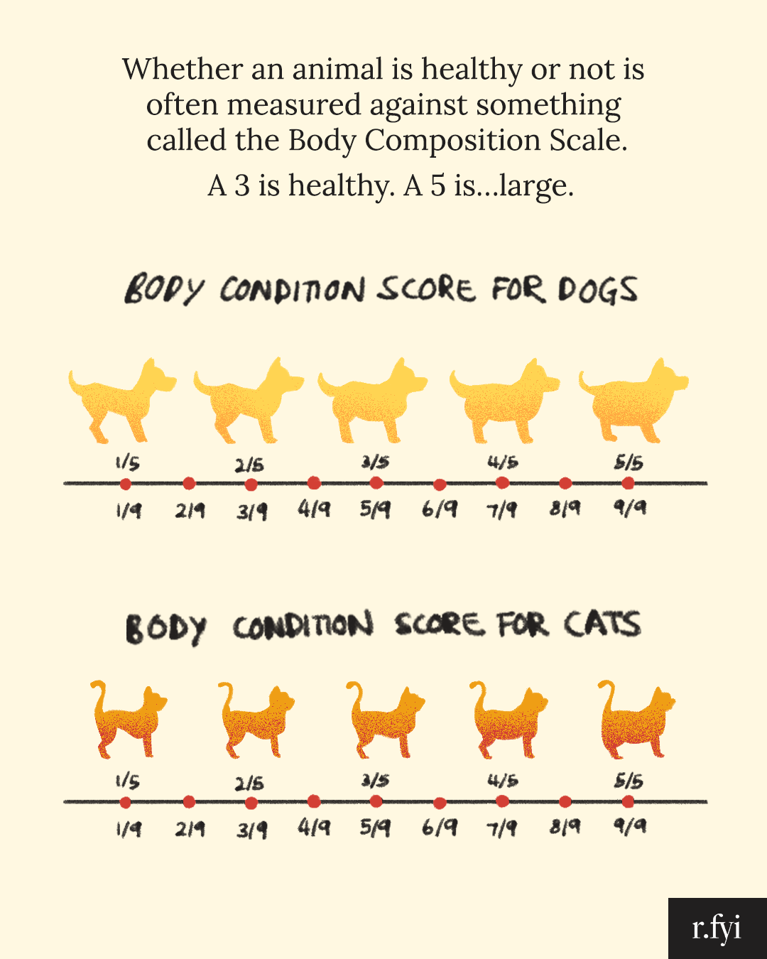Data Visualization — YAN HAN