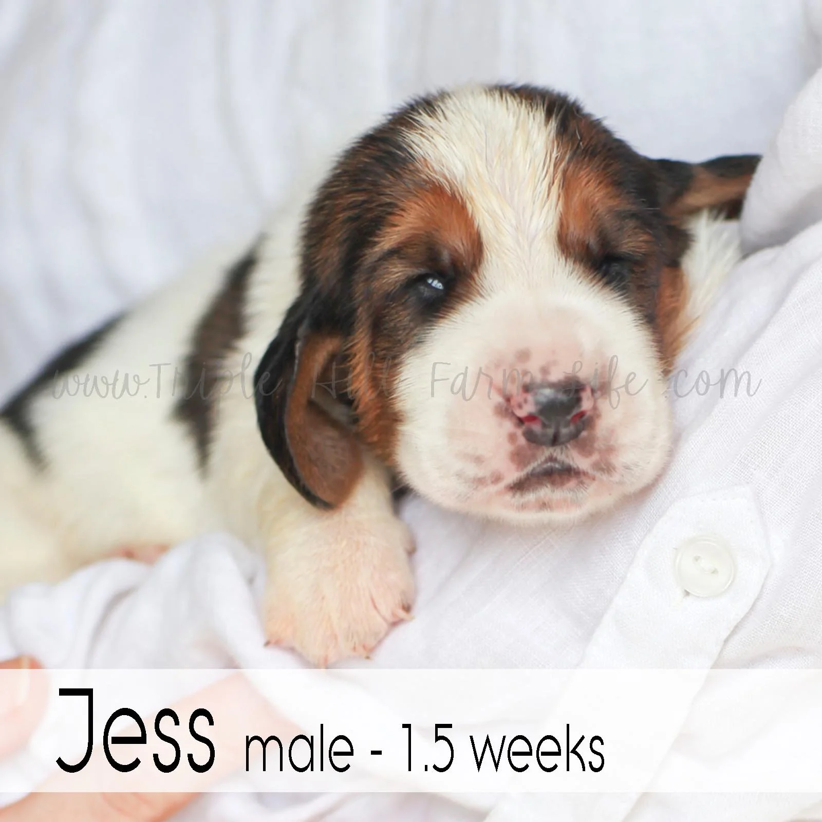 2  jess.jpg