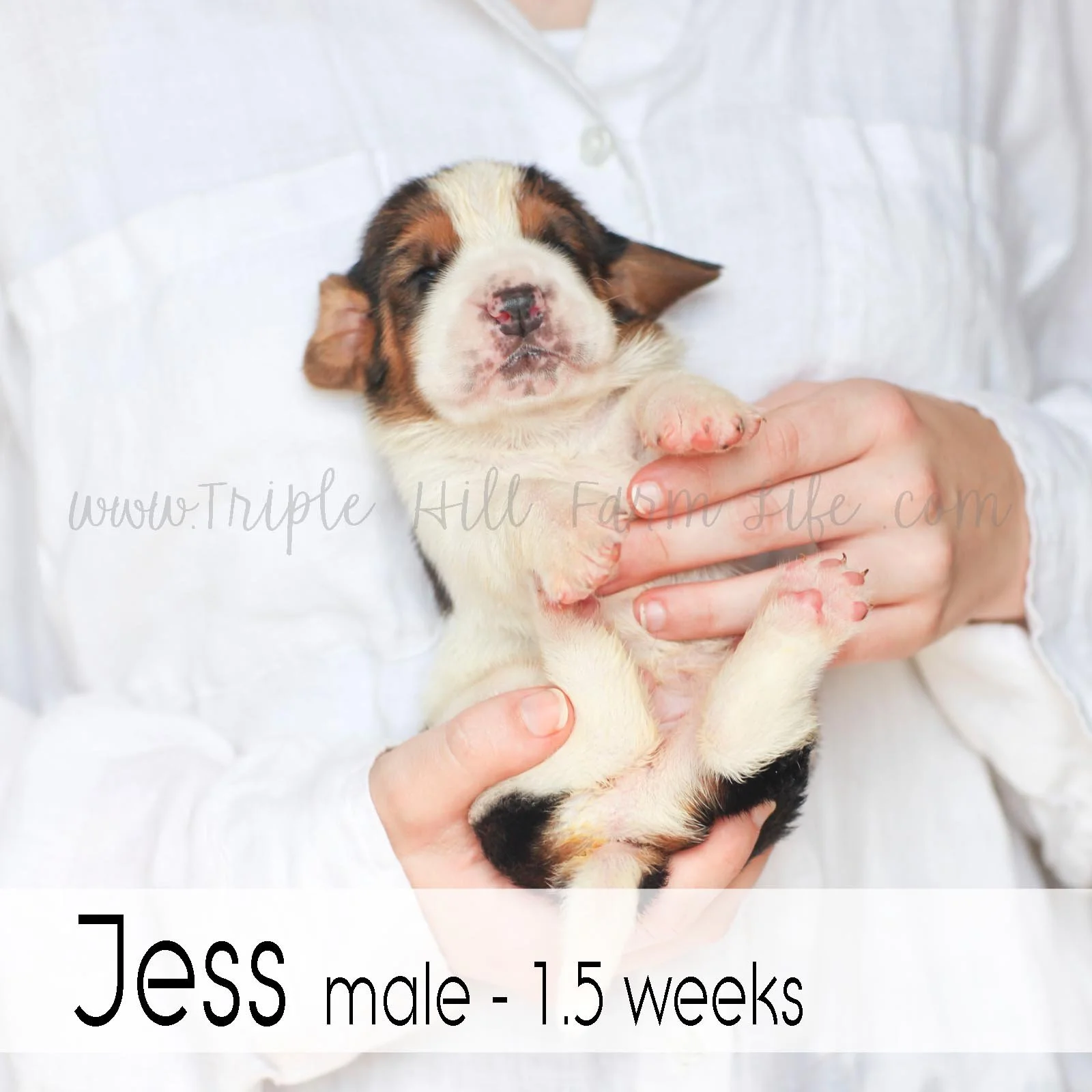 3  jess.jpg