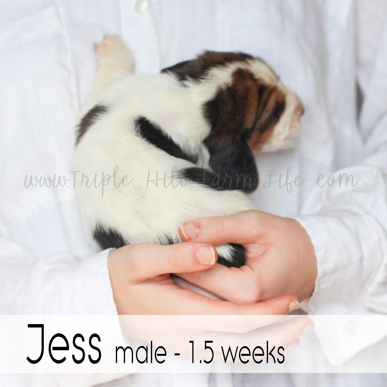 6 jess.jpg
