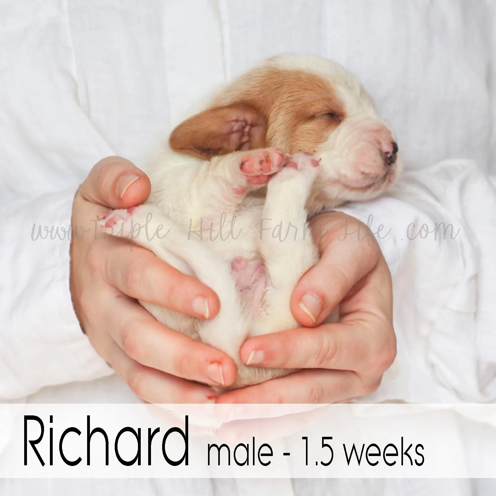 1 richard.jpg