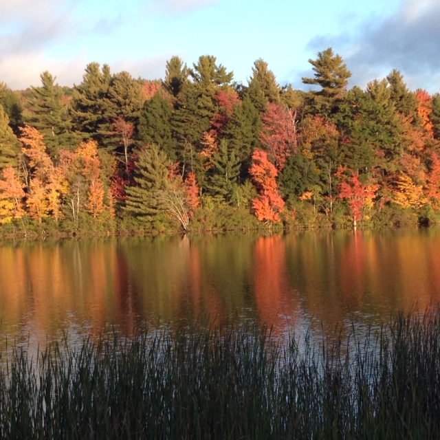 Autumn reflection in water.JPG