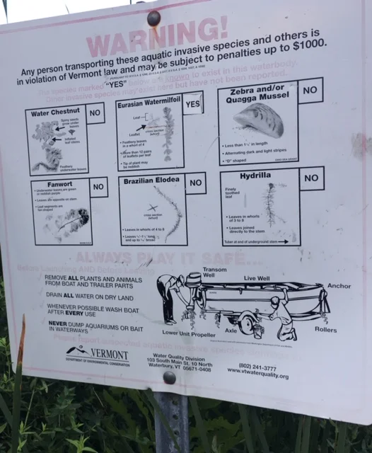 New Invasives sign.jpg