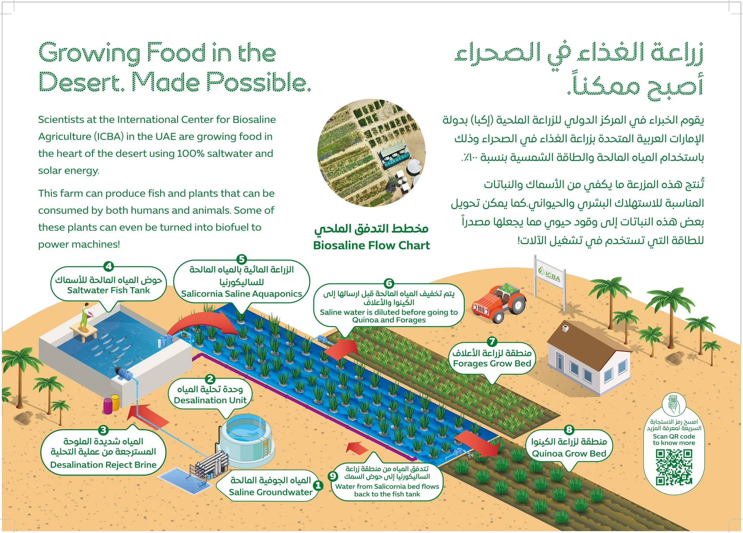 ICBA_A2_Banner(3)Outline.jpg