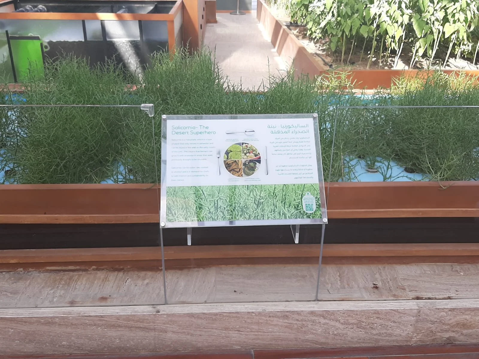 WhatsApp Image 2022-06-03 at 4.36.40 PM.jpeg