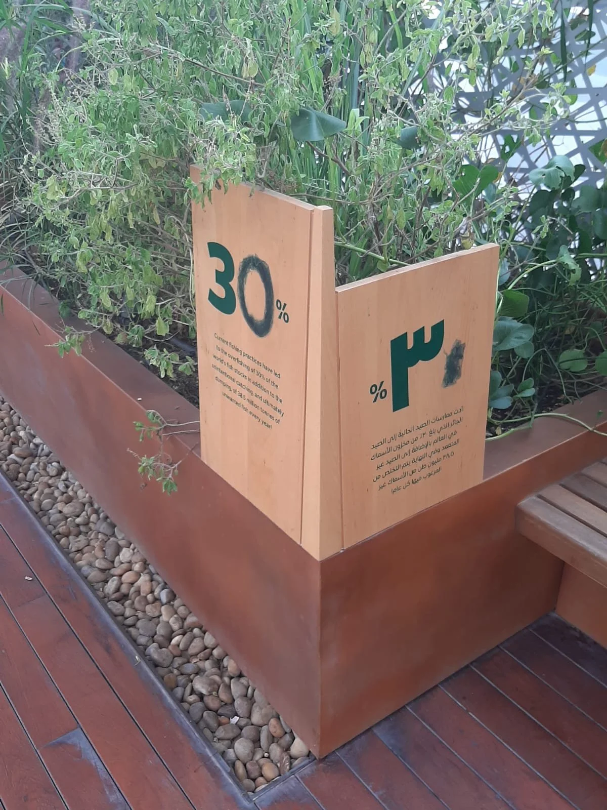 WhatsApp Image 2022-06-03 at 4.36.45 PM.jpeg