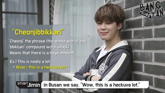 171213 [Smart TV Ch.BTS] Regional Dialect Festival TV