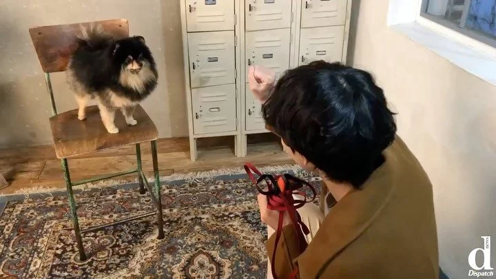 200216 Dispatch Instagram Post with V &amp; Yeontan - Tanie's Dad and Tanie's HD Behind The Scenes 🐶👏🏻