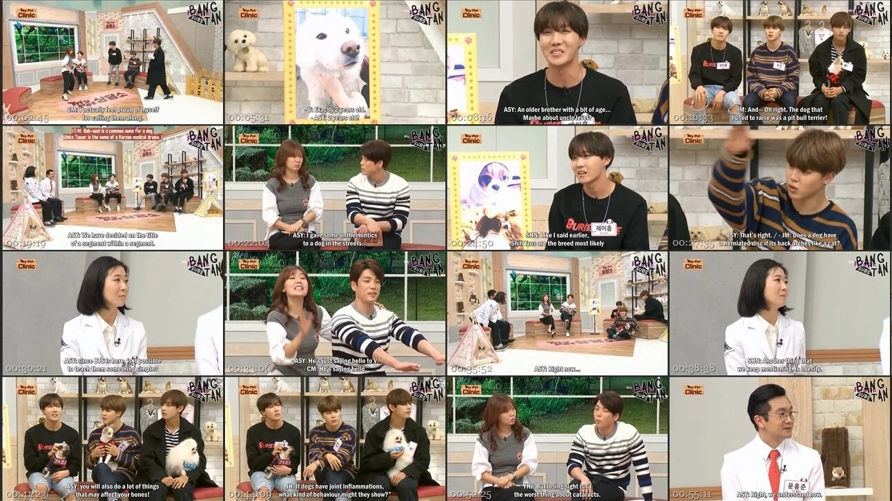 151111 My Pet Clinic with J-Hope, Jimin &amp; V - Part 1. Q&amp;A with Peterans