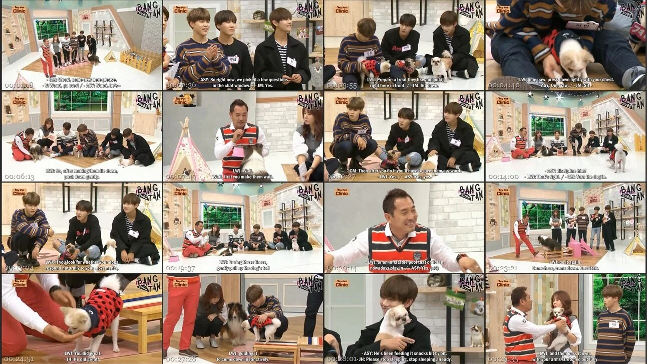 151111 My Pet Clinic with J-Hope, Jimin &amp; V - Part 2. Learning Tricks