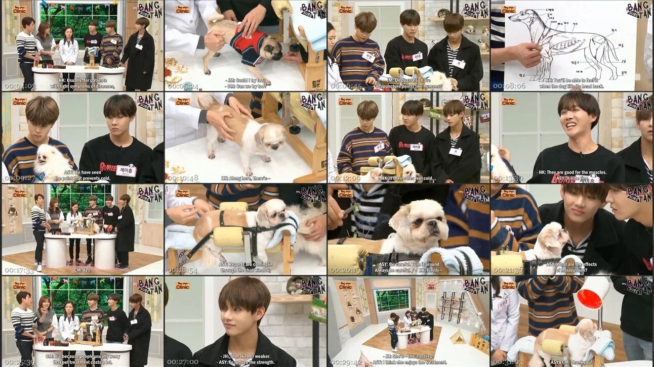 151111 My Pet Clinic with J-Hope, Jimin &amp; V - Part 3. Physical Therapy