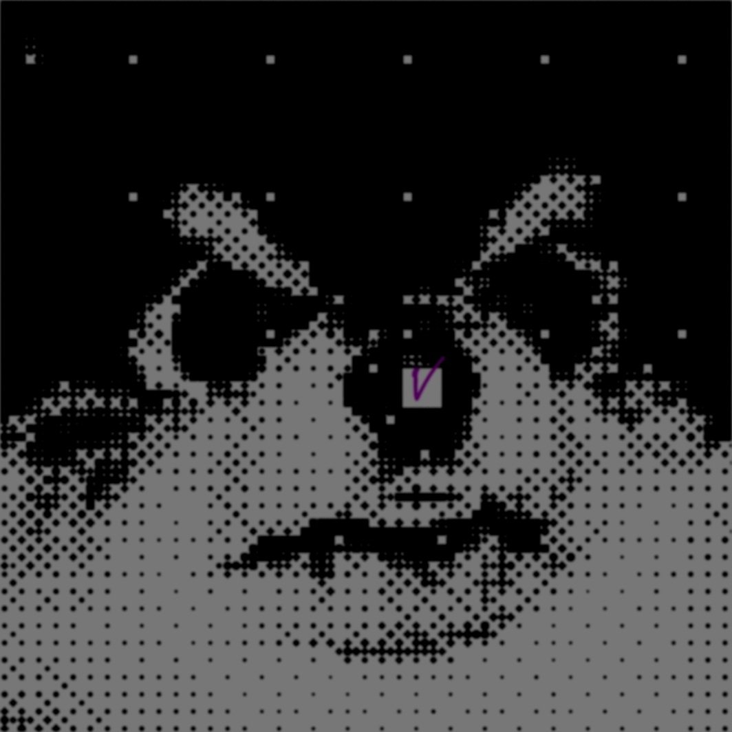 discography-cover.jpg
