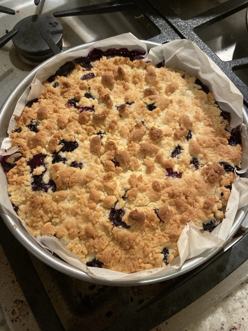 Blueberry Cornmeal Shortbread Tart