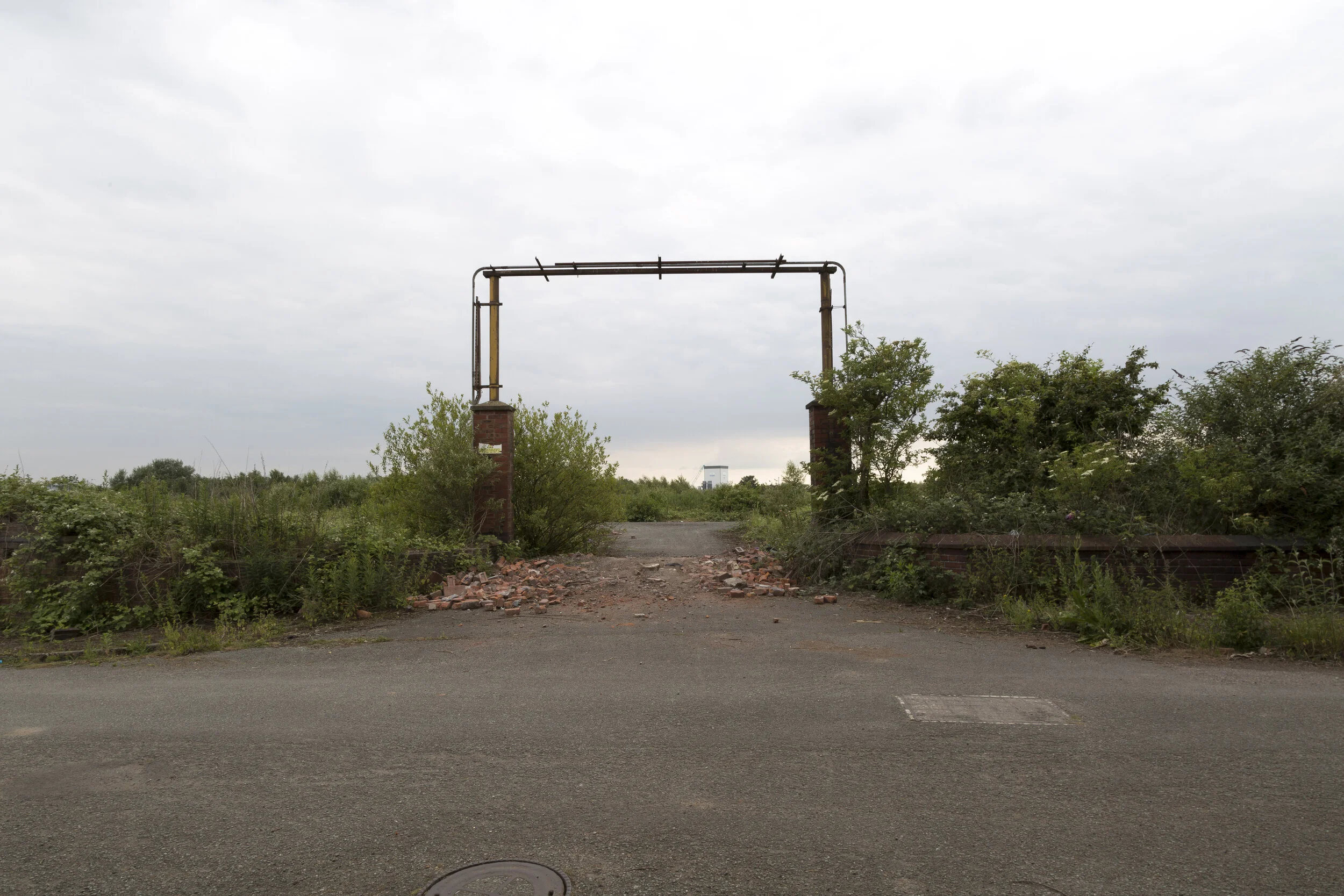 Modified Green__10.JPG