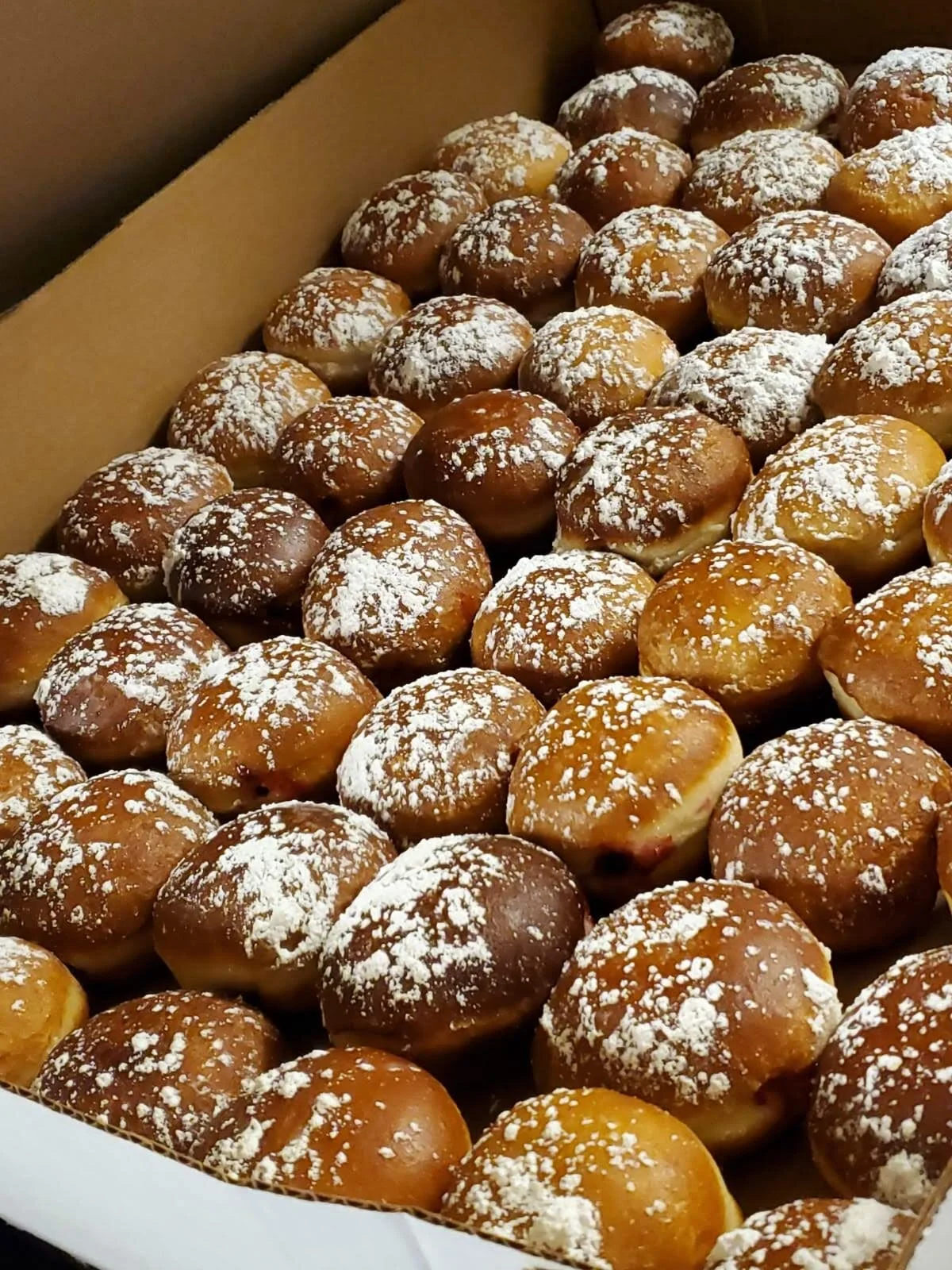 213c5ccc-ec2c-4a5a-a306-7b5faa2f6709 - Copy - Copy.jpg