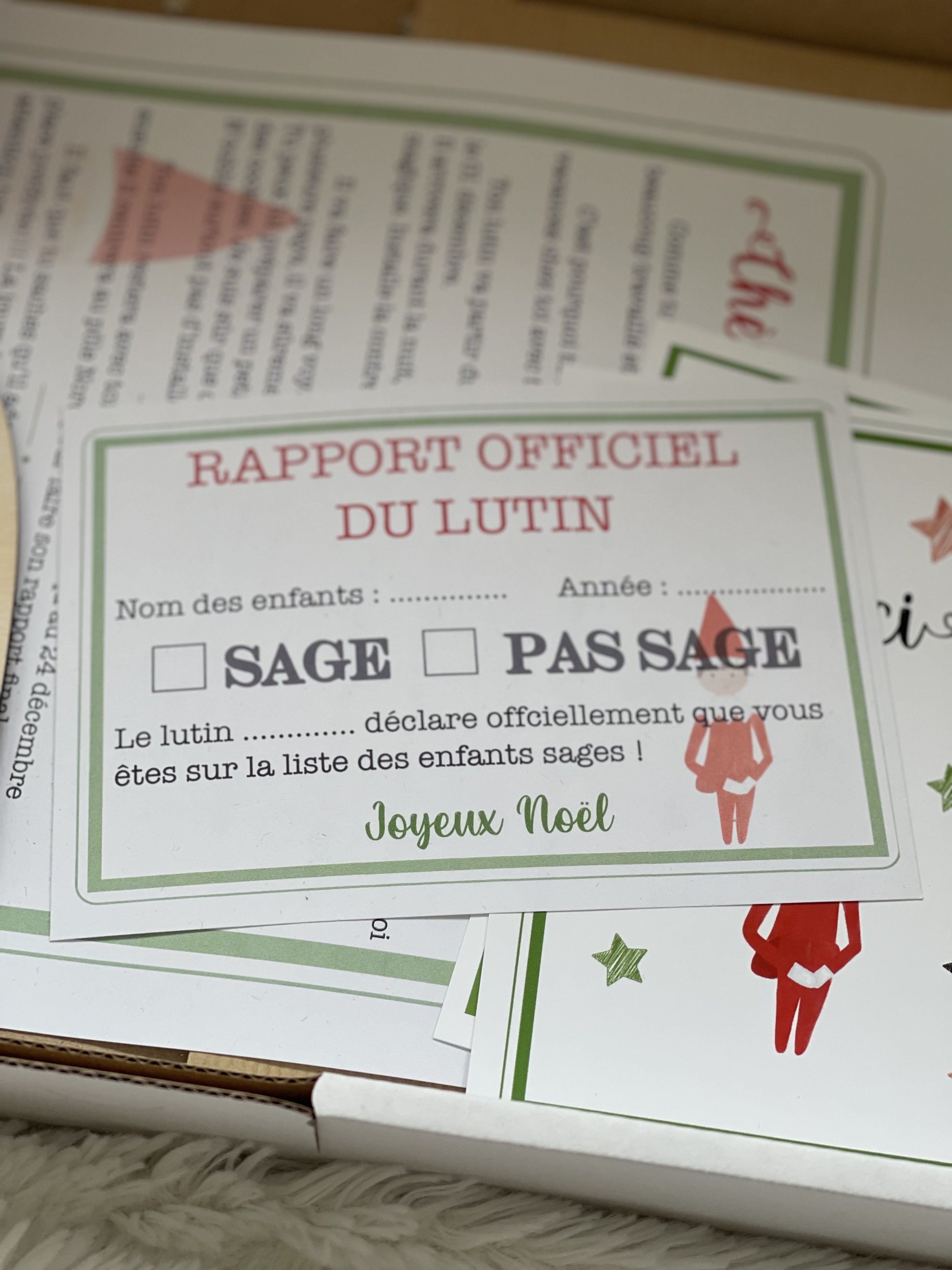 LUTIN FARCEUR FILLE — Nat and Cie