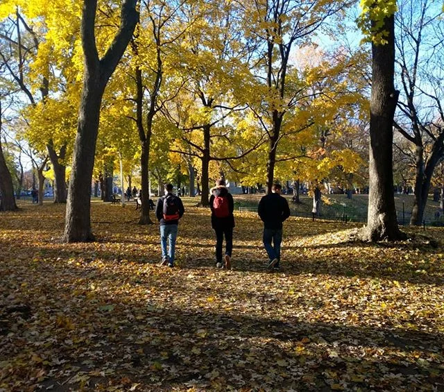 Walking in #montreal