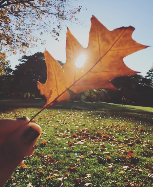 leaf insta.jpg