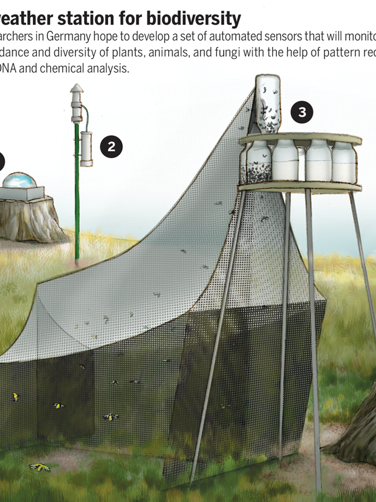 biodiversityStation3.png