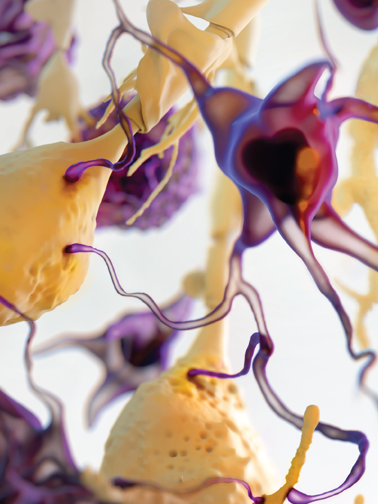 neuroimmunology2.png