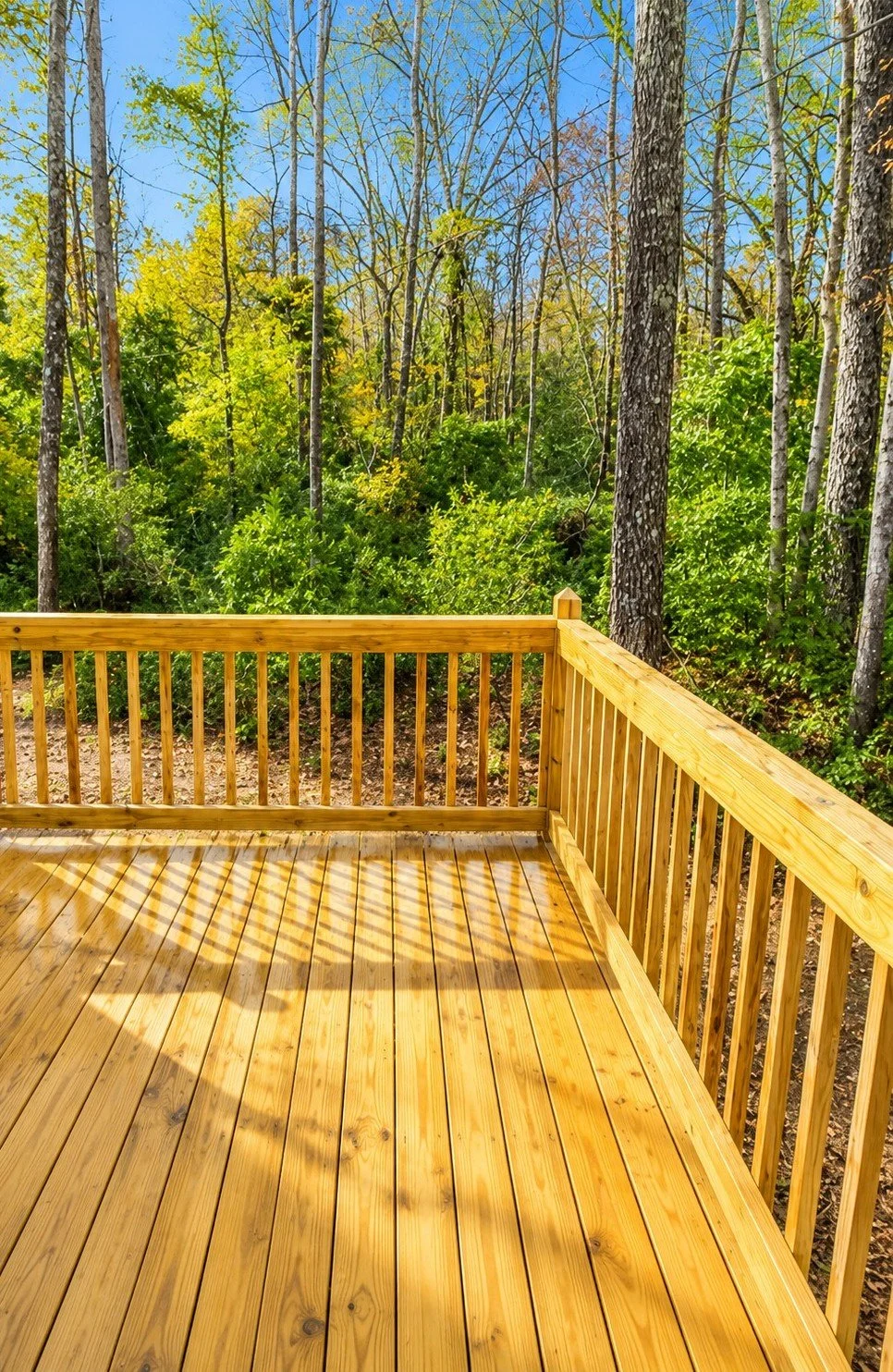 Back Deck (re-edited).jpg