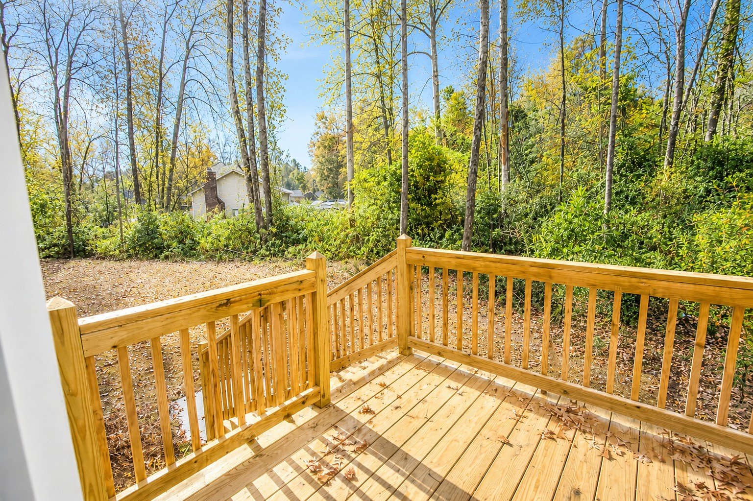 Back Deck 2 (re-edited).jpg