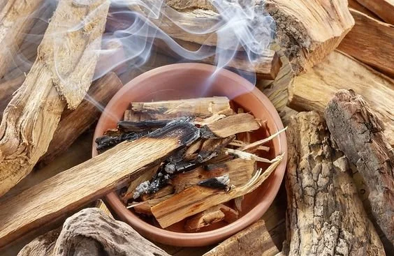palo santo.jpeg
