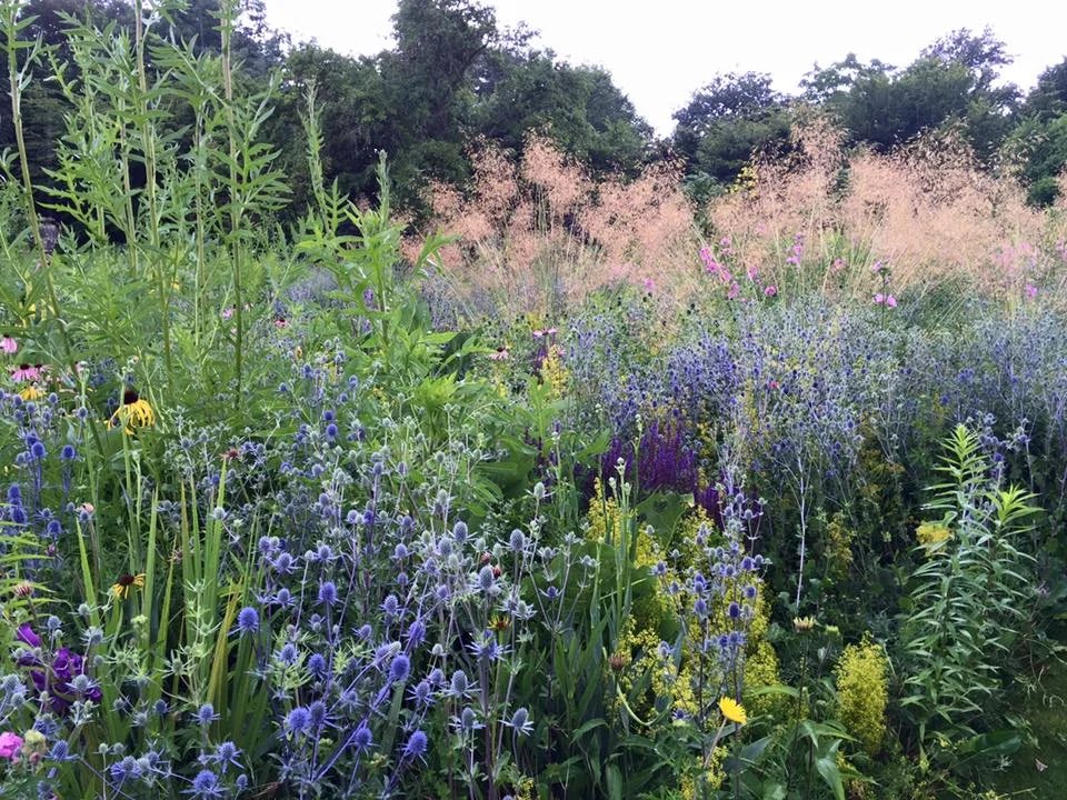 Merton Border.jpg