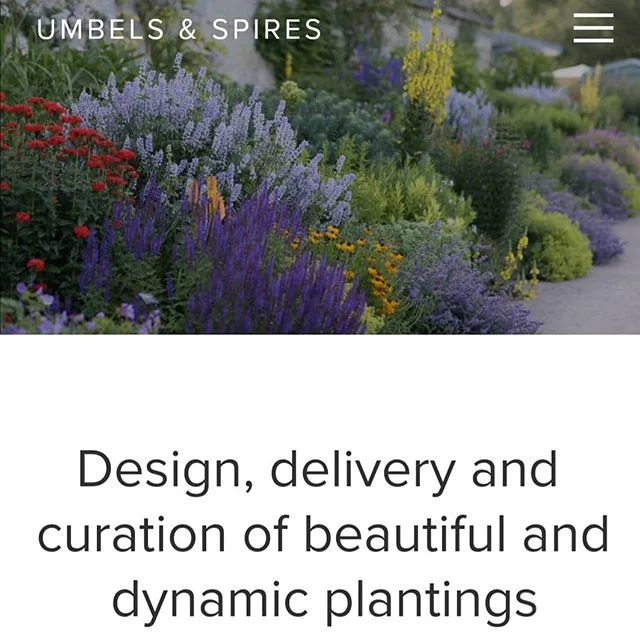 We are very excited to launch the website for our design and consultation practice: Umbels &amp; Spires. Looking forward to sharing our work, interests and inspirations with you all #umbelsandspires #gardendesign #plantsofinstagram #gardensofinstagra