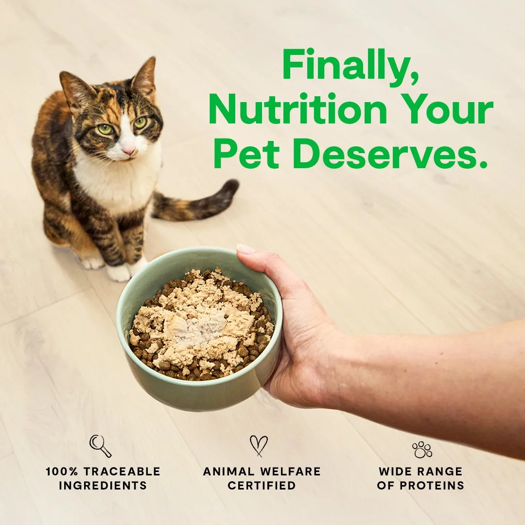 OpenFarm-Ads-Cats_07_Wet_Product+Cat.jpg