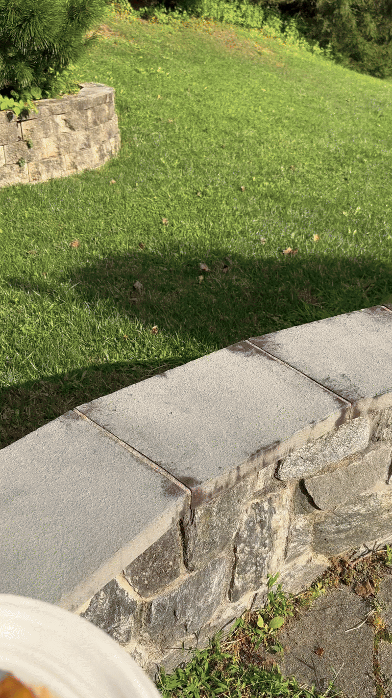 peachgif3.gif