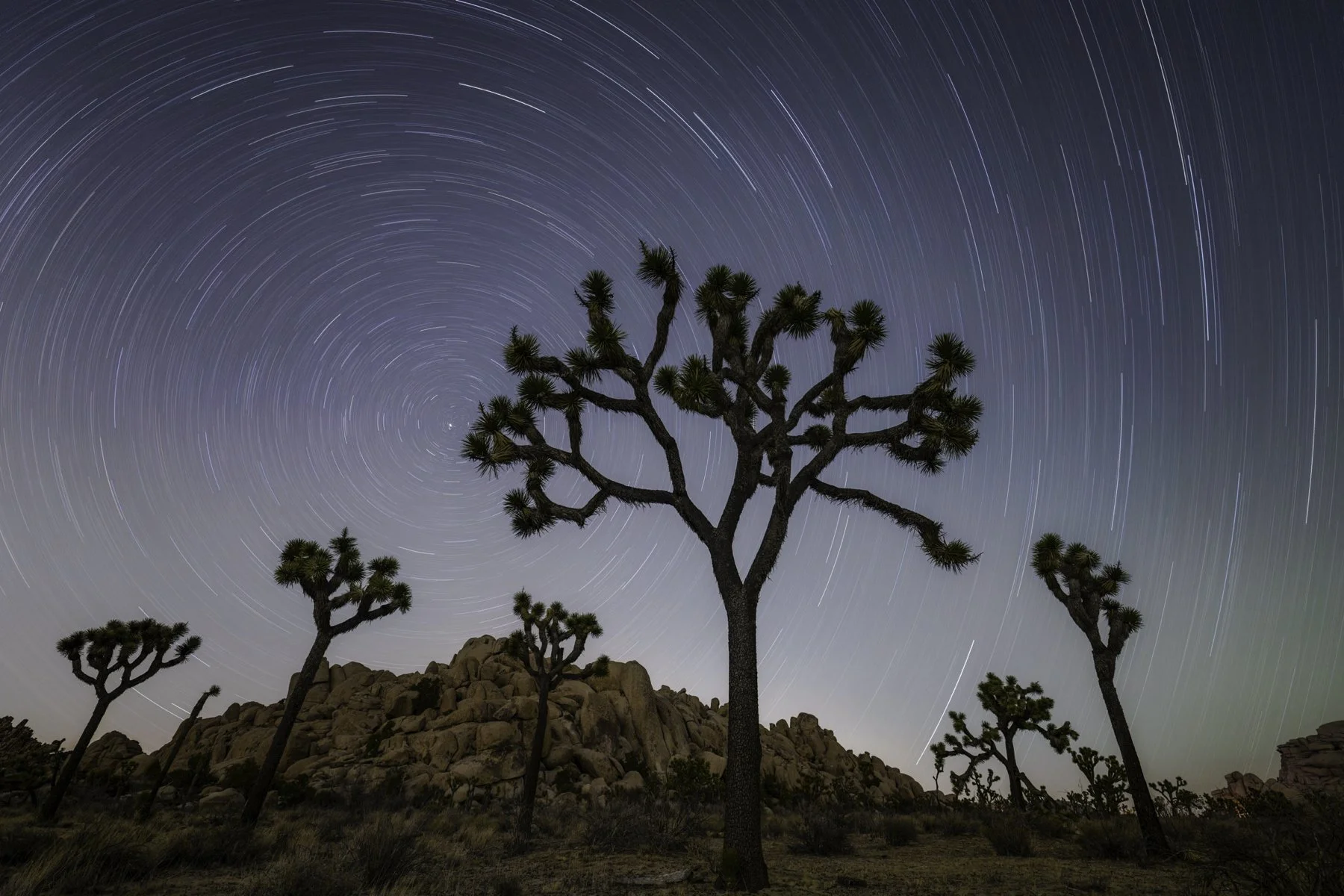 star trail update alt.jpg