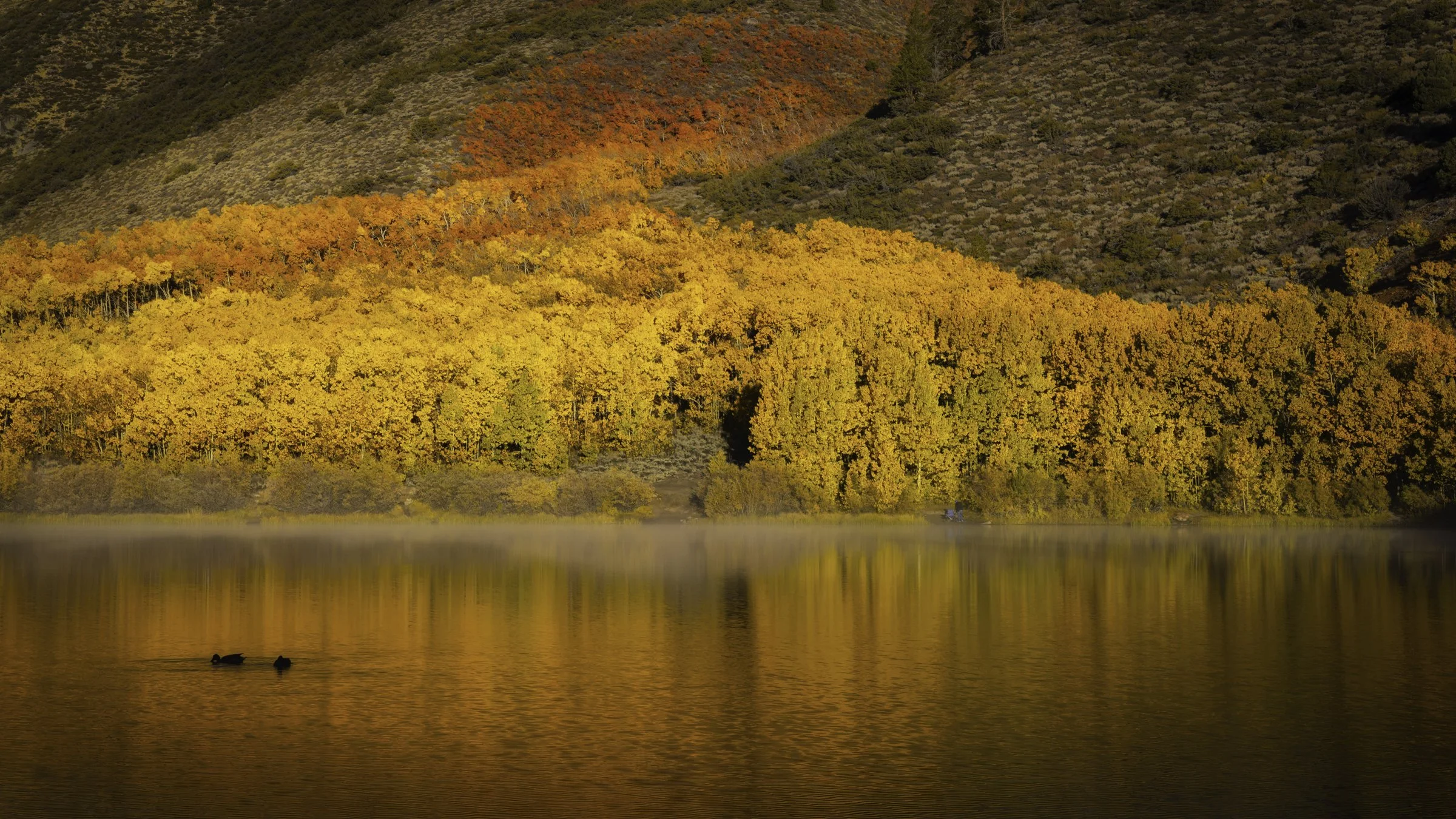 fall no fisherman 16x9.jpg