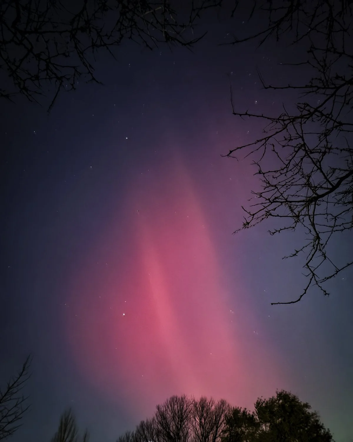 aurora 1.jpg