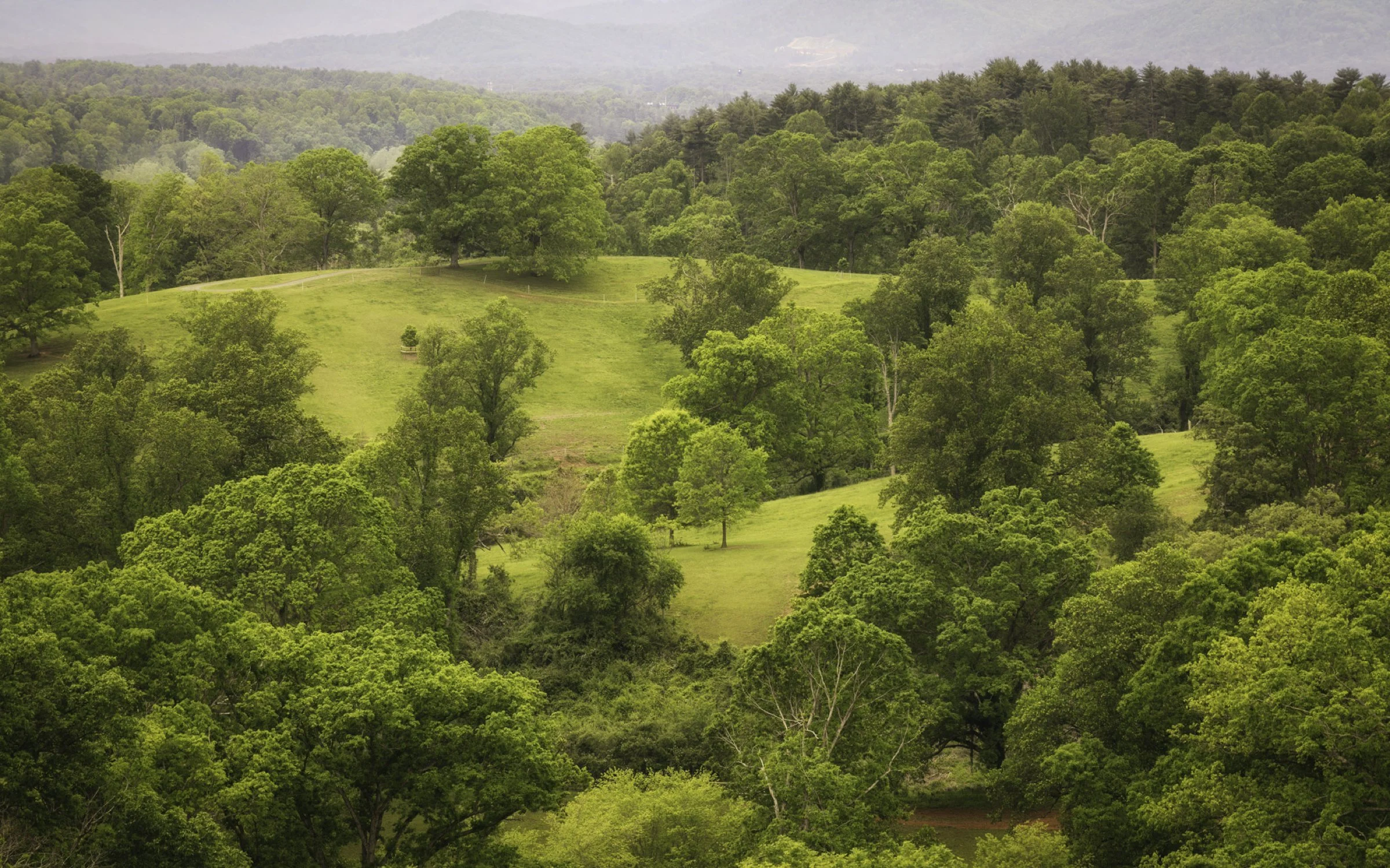 asheville spring 4 16x10.jpg