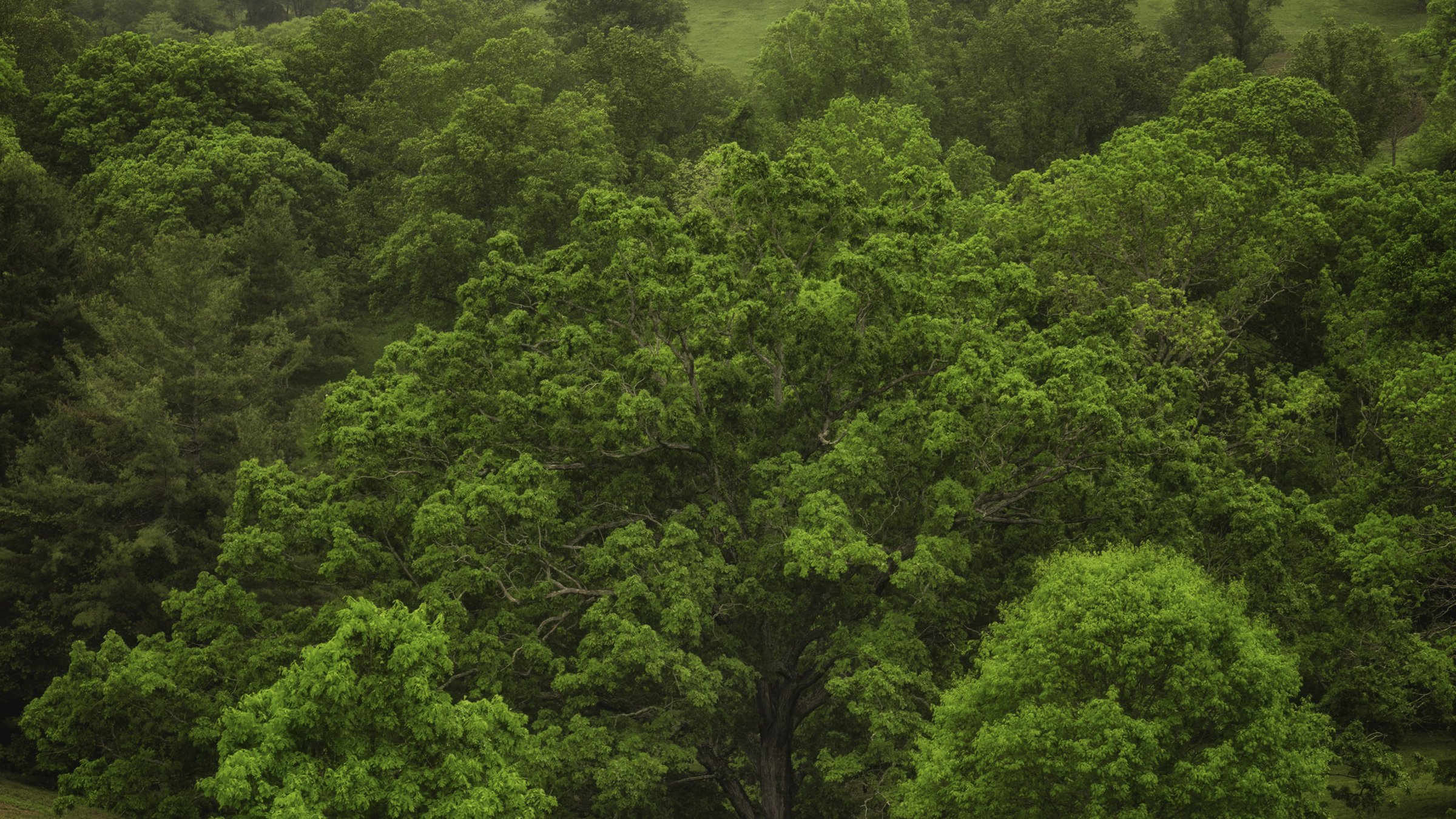 Ashville spring 16x9.jpg
