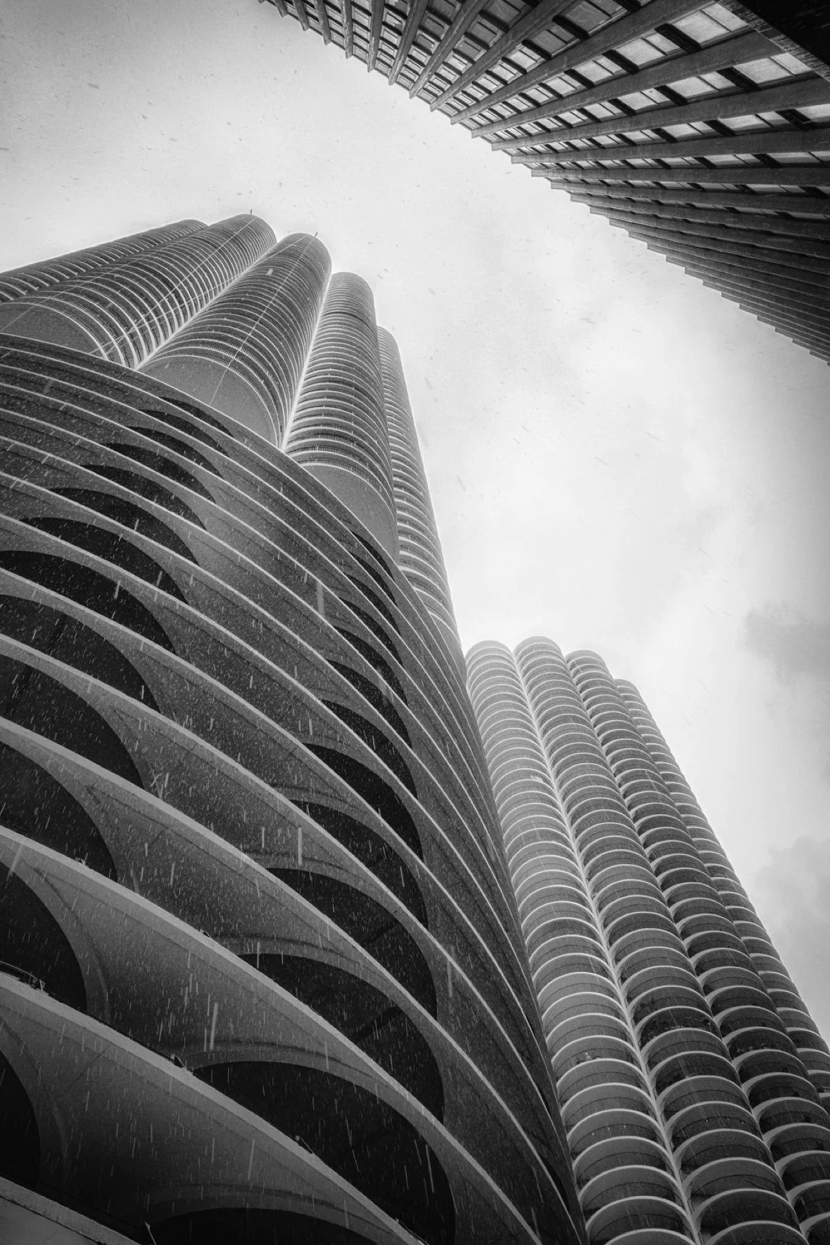Marina rain 4x6 BW.jpg