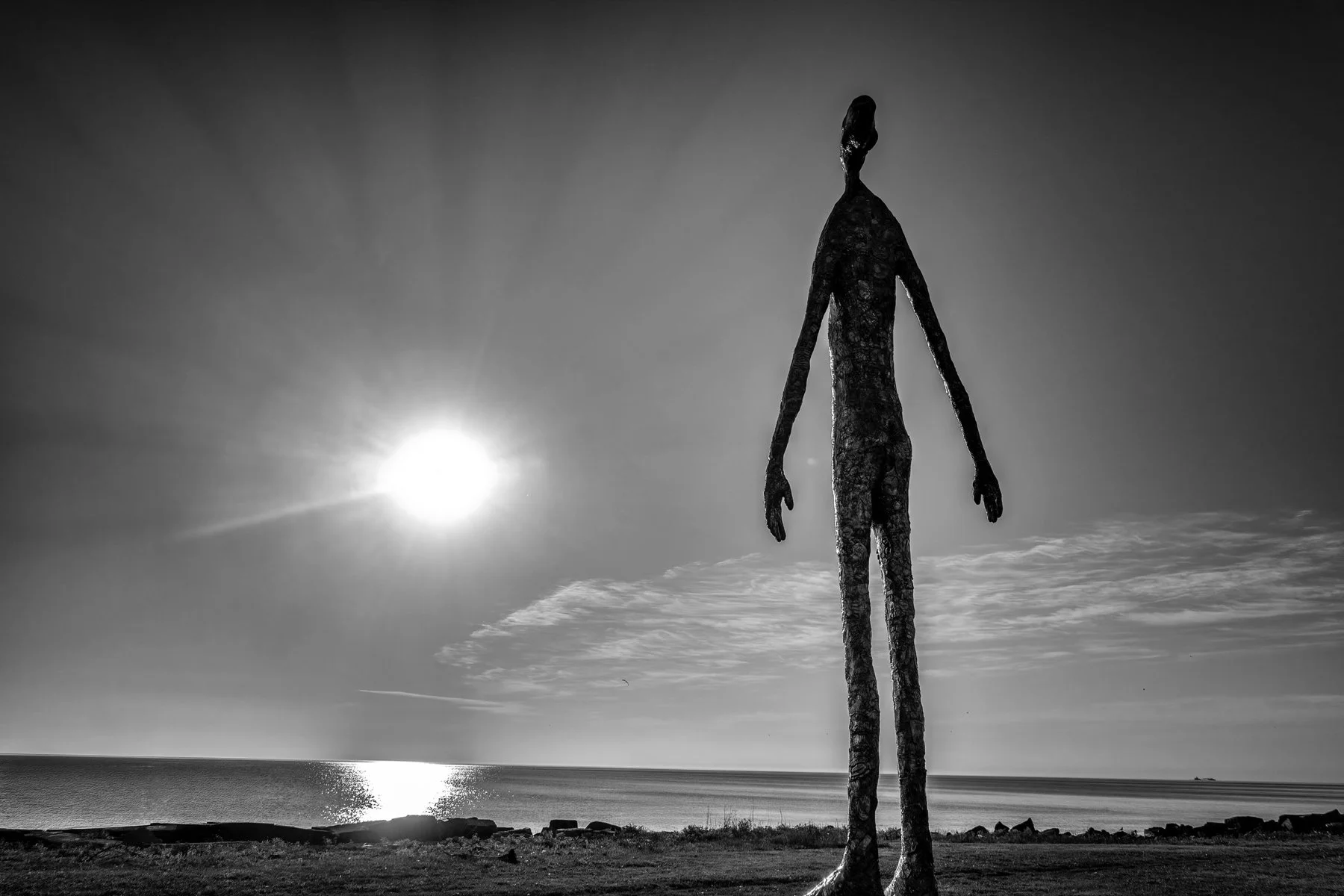 look up 3 4x6 BW.jpg