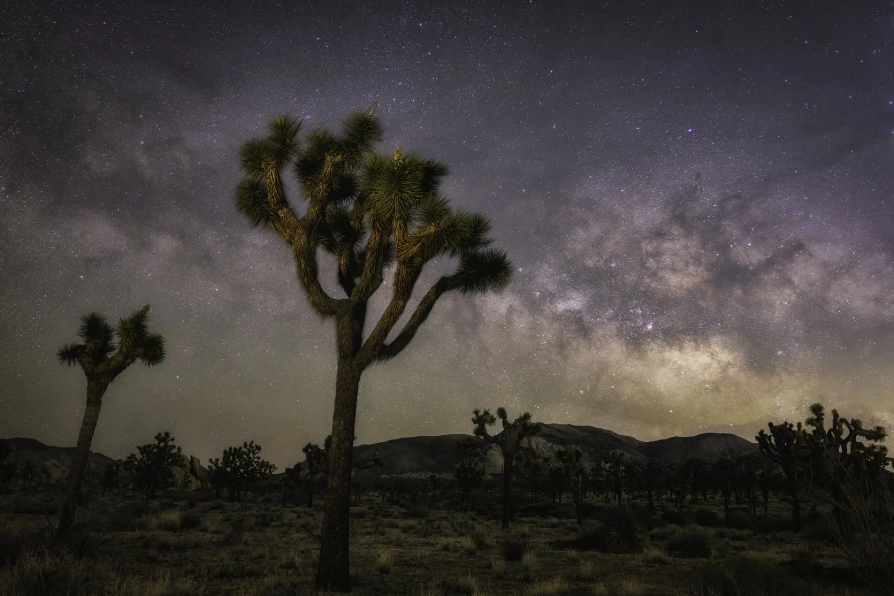 milky way 3 4x6.jpg