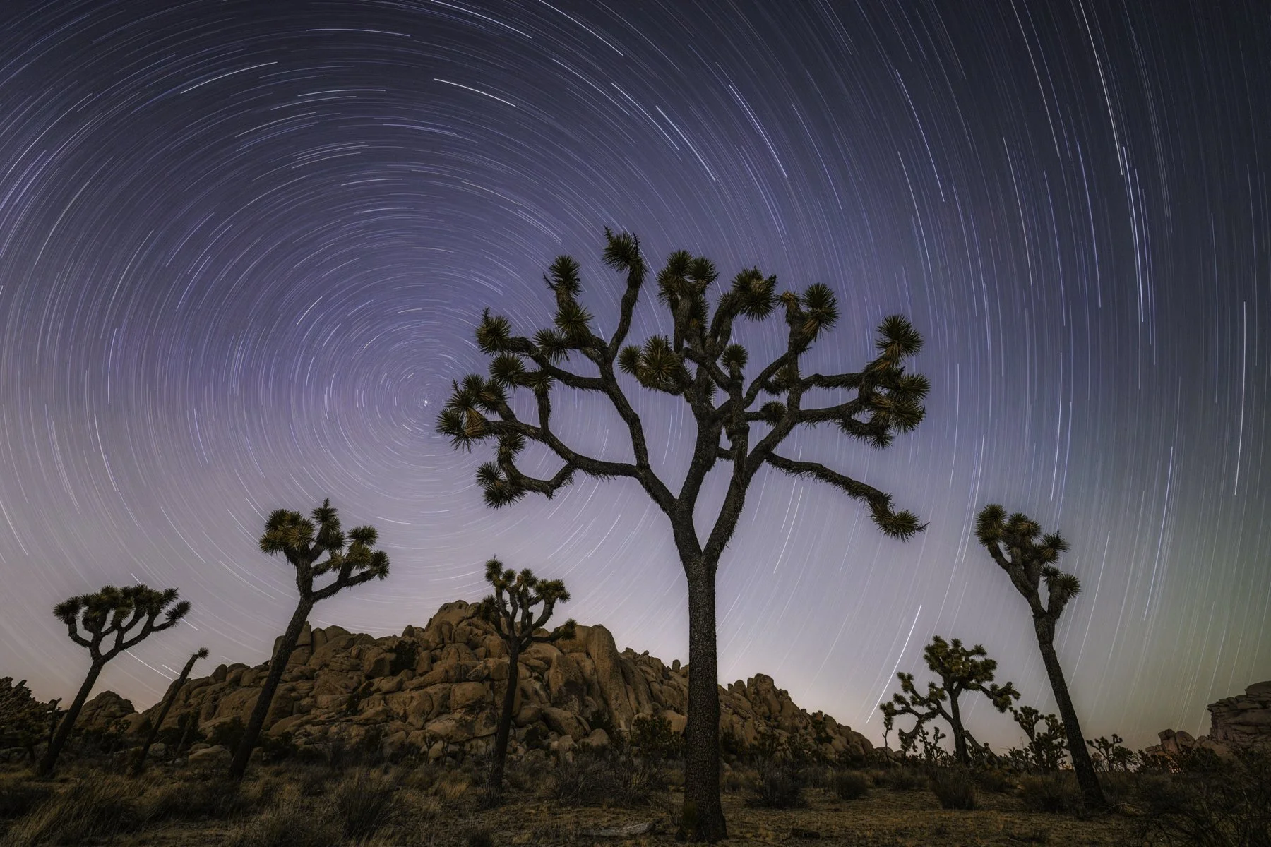 star trail 1 4x6.jpg