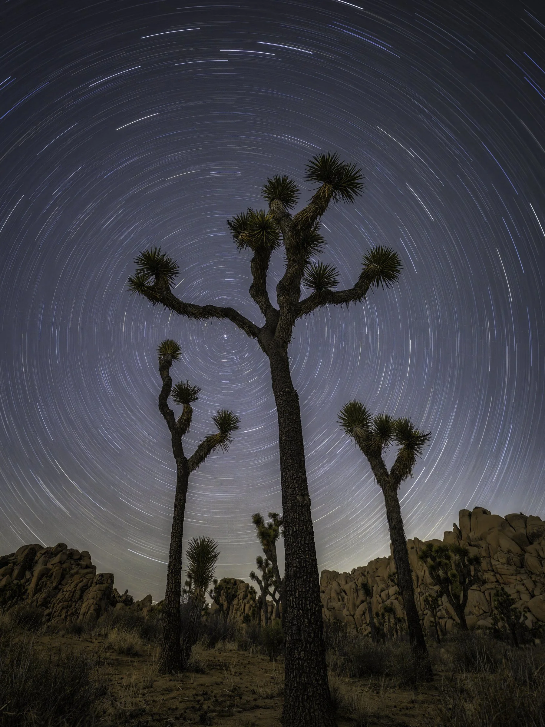 star trail 2 6x8.jpg