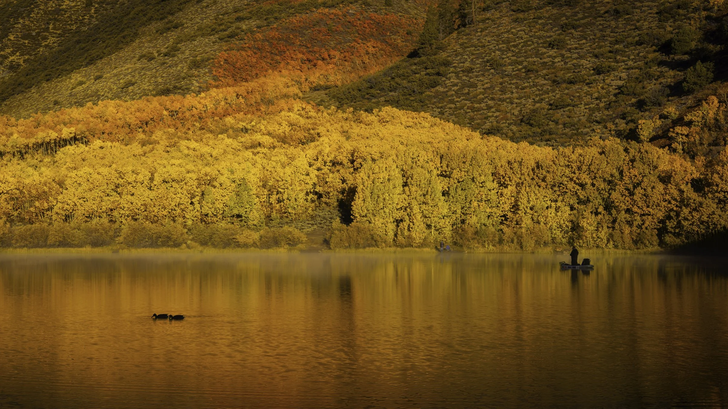 fisherman w ducks autumn.jpg